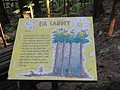 DSC01663.JPG