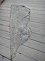 DSC01664.JPG