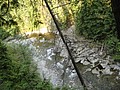 DSC01665.JPG