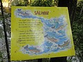 DSC01666.JPG