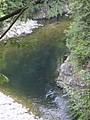 DSC01667.JPG