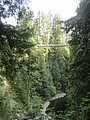 DSC01668.JPG