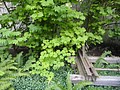DSC01686.JPG