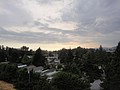 DSC01699.JPG