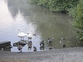 DSC01721.JPG