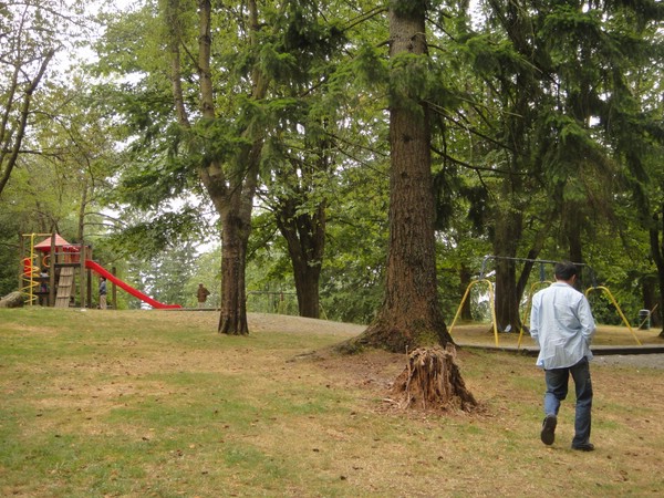 DSC01773.JPG
