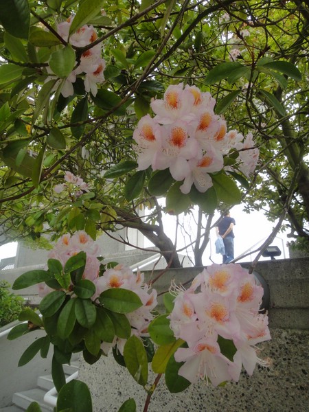DSC01780.JPG