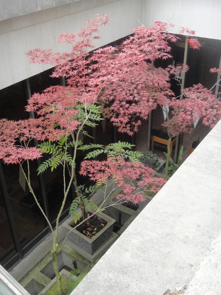 DSC01789.JPG