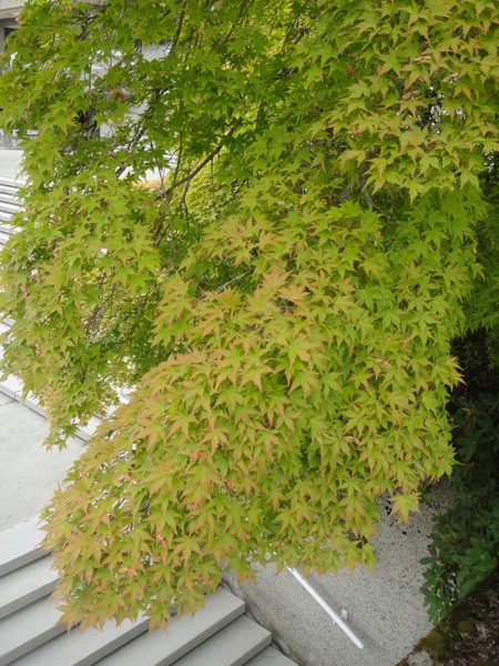 DSC01793.JPG