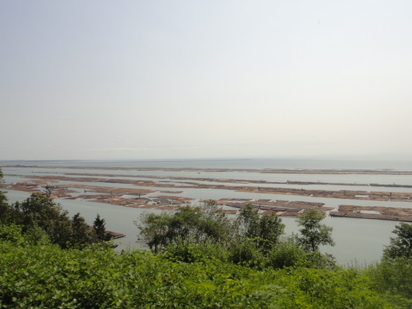 DSC01836.JPG