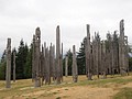 DSC01736.JPG