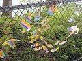 DSC01738.JPG