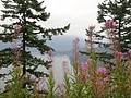 DSC01741.JPG