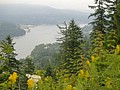 DSC01742.JPG