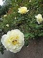 DSC01751.JPG