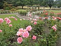 DSC01754.JPG