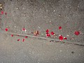 DSC01758.JPG