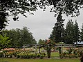 DSC01760.JPG