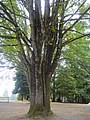 DSC01768.JPG