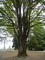 DSC01769.JPG