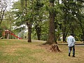 DSC01773.JPG