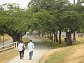 DSC01775.JPG