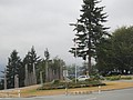 DSC01776.JPG