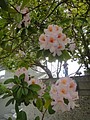 DSC01780.JPG