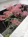 DSC01789.JPG