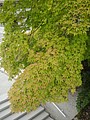 DSC01793.JPG