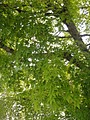 DSC01794.JPG