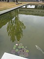 DSC01799.JPG