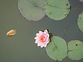 DSC01802.JPG