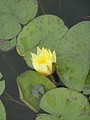 DSC01804.JPG