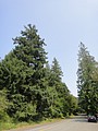 DSC01838.JPG