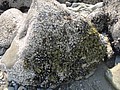 DSC01857.JPG