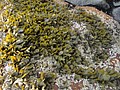 DSC01858.JPG