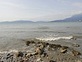 DSC01859.JPG