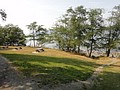 DSC01861.JPG