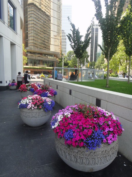 DSC02013.JPG