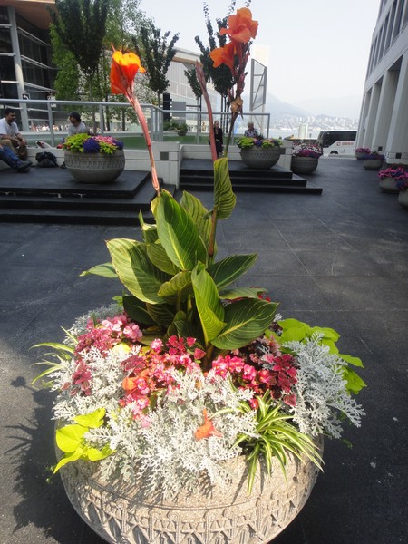 DSC02014.JPG