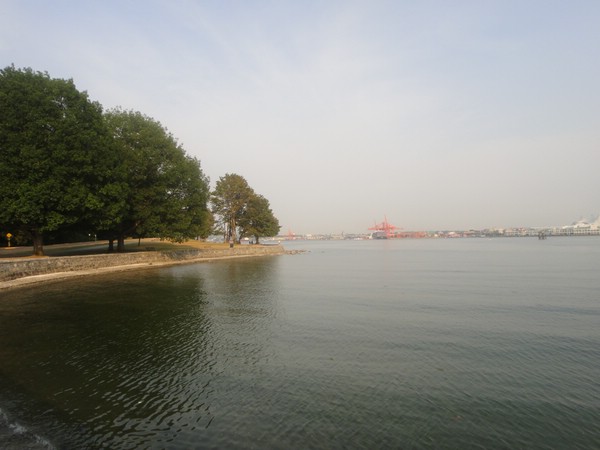 DSC02053.JPG
