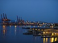 DSC01925.JPG