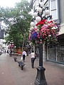 DSC01963.JPG