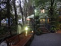 DSC01978.JPG