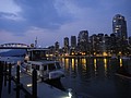 DSC01994.JPG