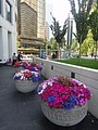 DSC02013.JPG