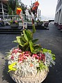 DSC02014.JPG