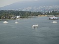DSC02036.JPG