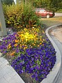 DSC02066.JPG